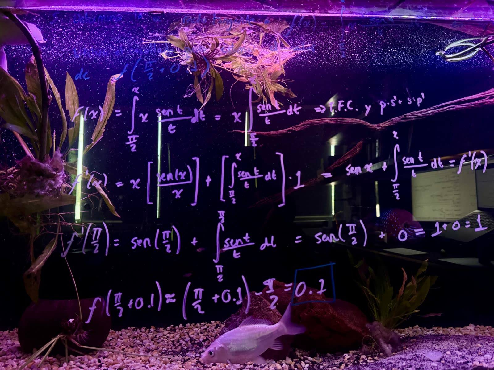 La solución del ejercicio 5 en limpio — escrita en el acuario: producto + TFC, f′(π/2) = 1… y la estimación f(π/2 + 0.1) ≈ 0.1